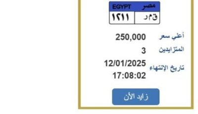 «ق م ر 1211».. لوحة سيارة مميزة وصل سعرها لربع مليون جنيه