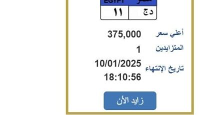 سعرها وصل 375 ألف جنيه.. خطوات التزايد على لوحة سيارة مميزة (رابط)