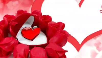 Happy Valentine.. أجمل رسائل تهنئة عيد الحب 2025 للأزواج والمخطوبين “حبيبي، أنت نبض قلبي وروحي. عيد حب سعيد 2025، وأتمنى أن نبقى معًا إلى الأبد”