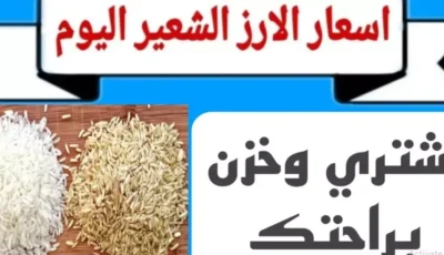 عريض ورفيع الحبه.. سعر طن الأرز الشعير اليوم السبت 11 يناير 2025 للمستهلك واسعار السلع الغذائية