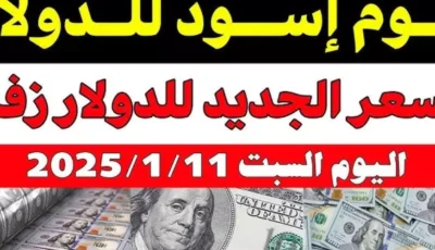 سوق موازية.. سعر الدولار اليوم في مصر تحديث يومي للبيع والشراء بالبنوك والسوق السوداء