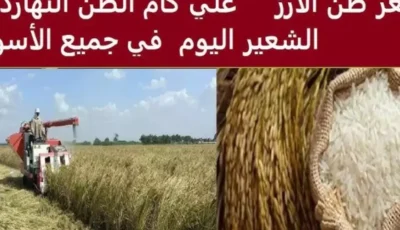 ‎رفيع وعريض.. سعر طن الأرز الشعير اليوم الأحد 12 يناير 2025 في الأسواق المحلية وأسعار السلع الغذائية