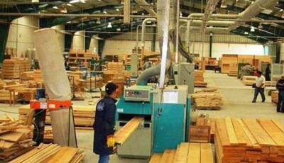 إنتاج خشب MDF في مدينة توشكى يعد المصنع الأول من نوعه